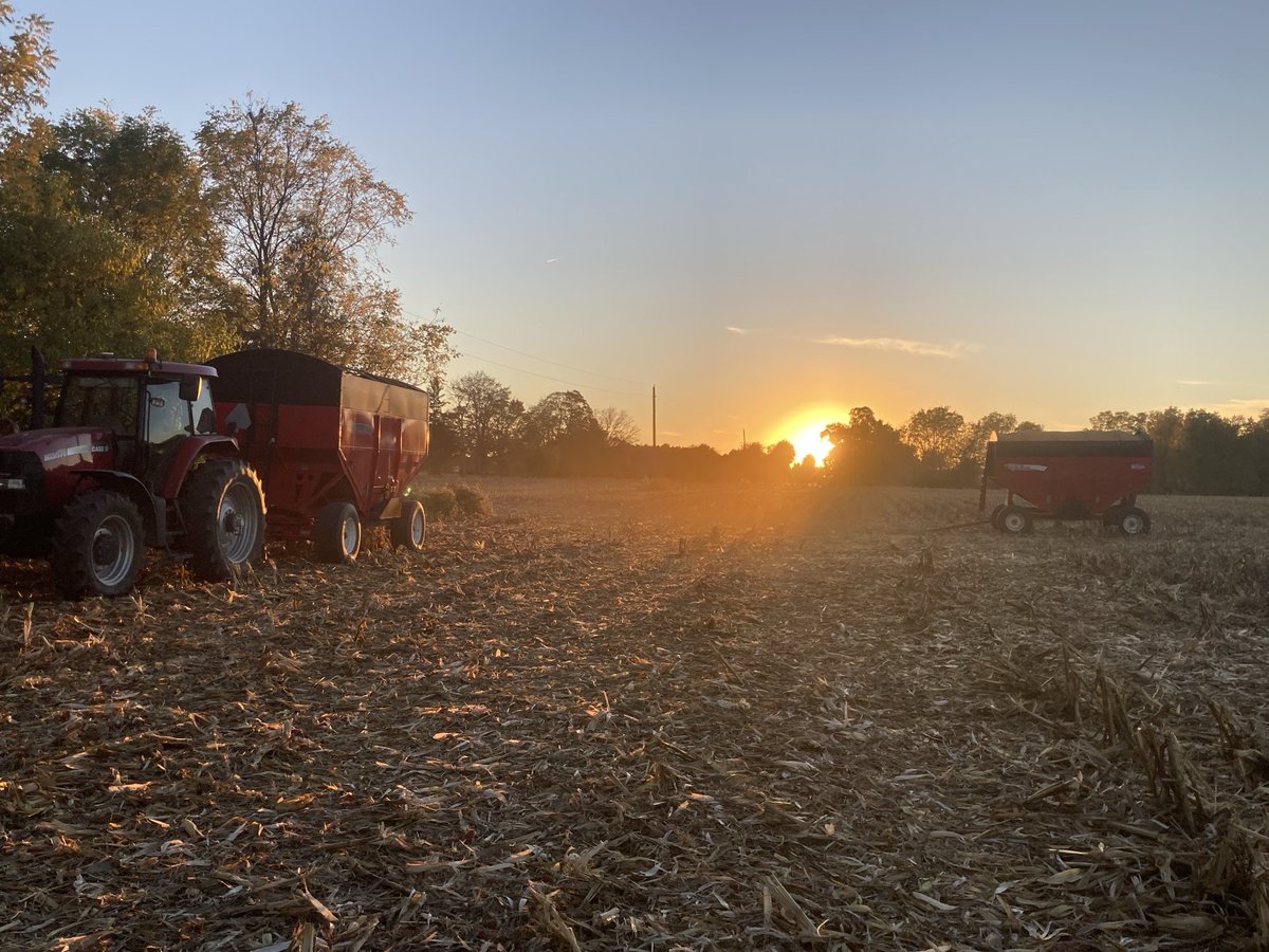 Ed Shantz tweet media