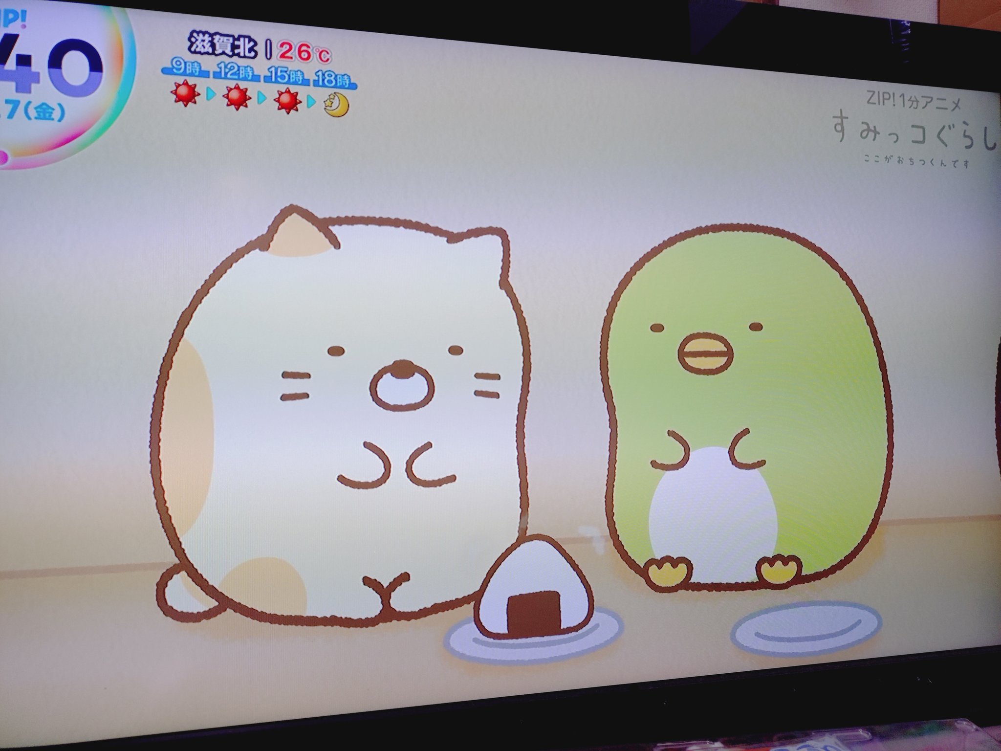 しろくま33˙ᴥ˙🦎🦕 on X: 