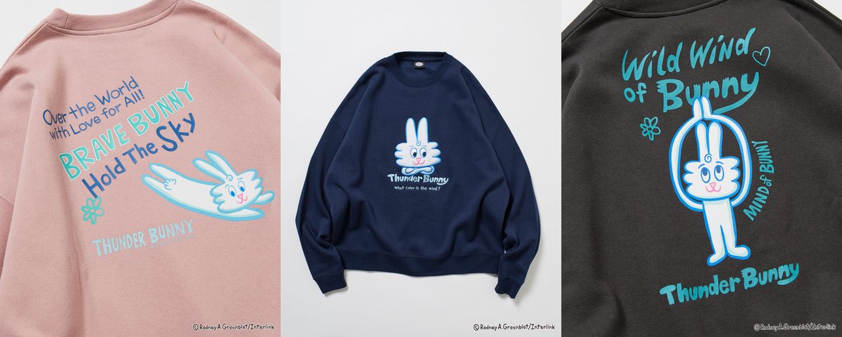 Thunder Bunny Sky (@ThunderBunnySky) / Posts / X