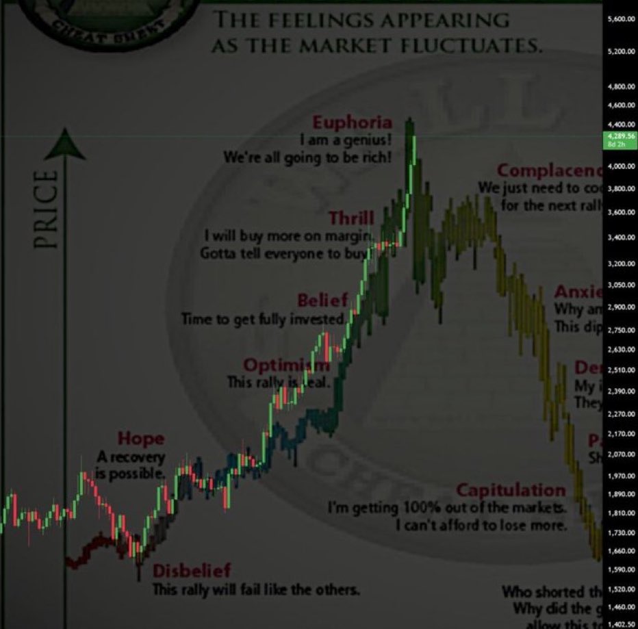 Gold has now reached the euphoria Phase

It should make a local top within 2 weeks around 29th Oct FOMC, and then we will see a massive liquidity rotation into Bitcoin.

Trillions are coming into crypto market and we will see the BIGGEST BULL RUN EVER.
