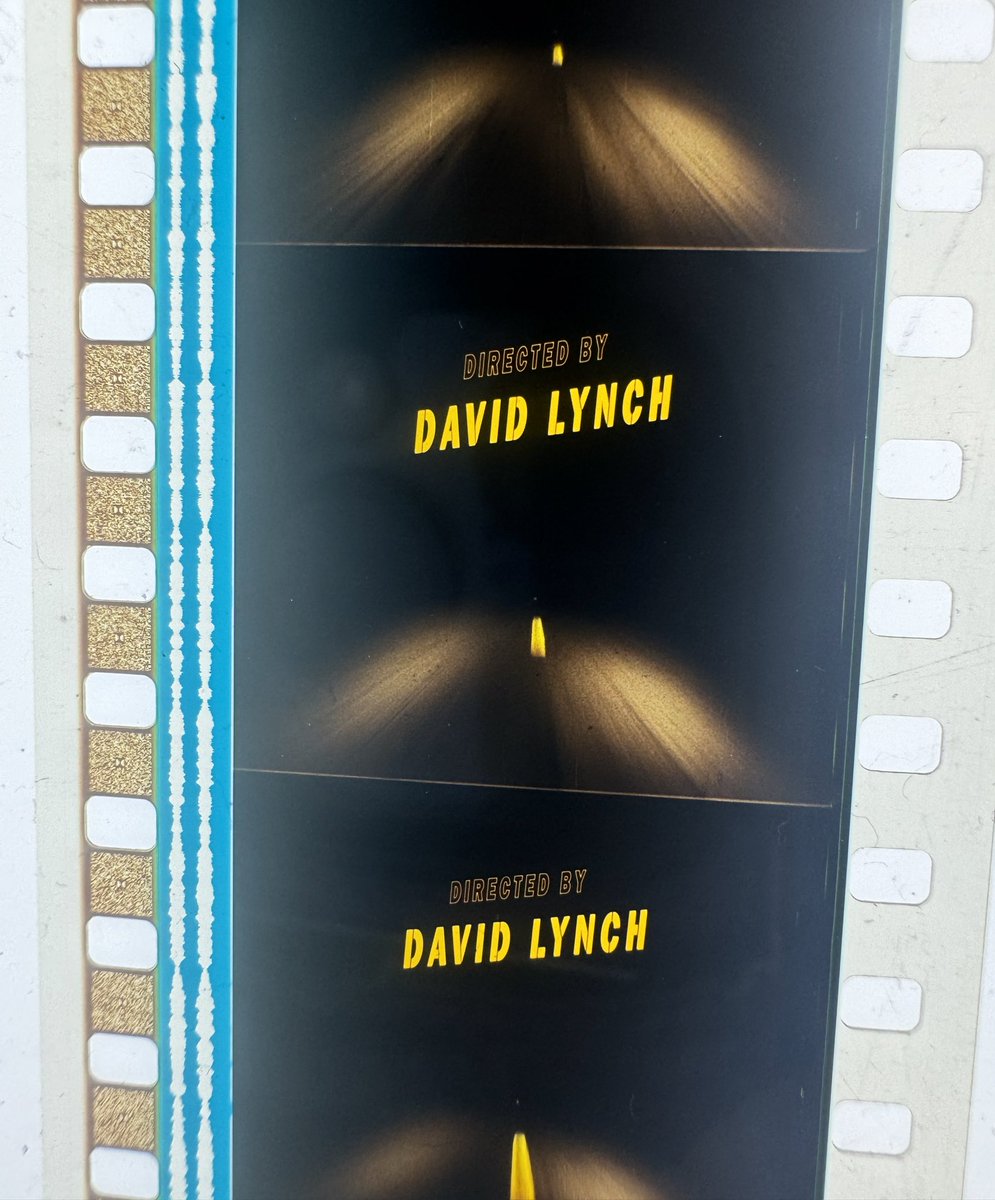 Mistress of the Reel™ (@sleepyserenade) on Twitter photo 