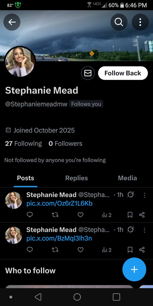This doesn't include the three others I've already blocked reported earlier <a href="/stephmeadwx/">Stephanie Mead</a> 🙄