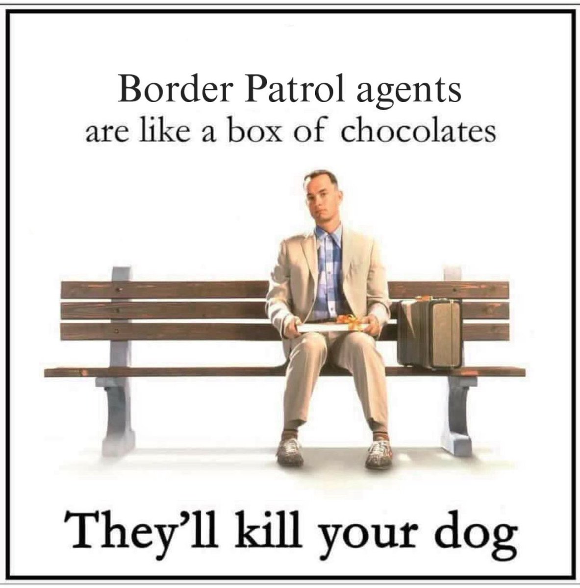 Hot Takes in Your Area (@seaweedanxiety) on Twitter photo 