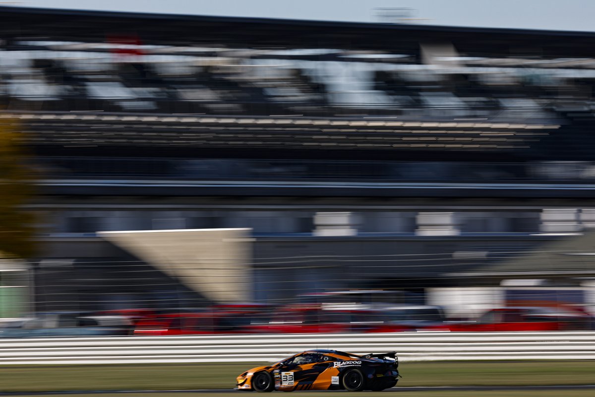 Blackdog Performance Cars tweet media