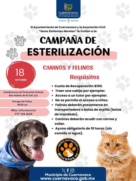 HCaninoCuerna's tweet photo. #cuernavaca #Morelos #HCC https://t.co/0XrLIEwCY1