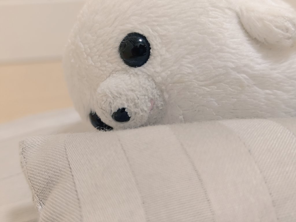 ぱちっ

おはよ！

………

まだねむい…………