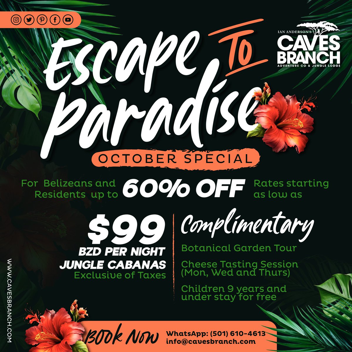 Enjoy our local promo #sale #belize #belizeans #domestictravel #adventuretime