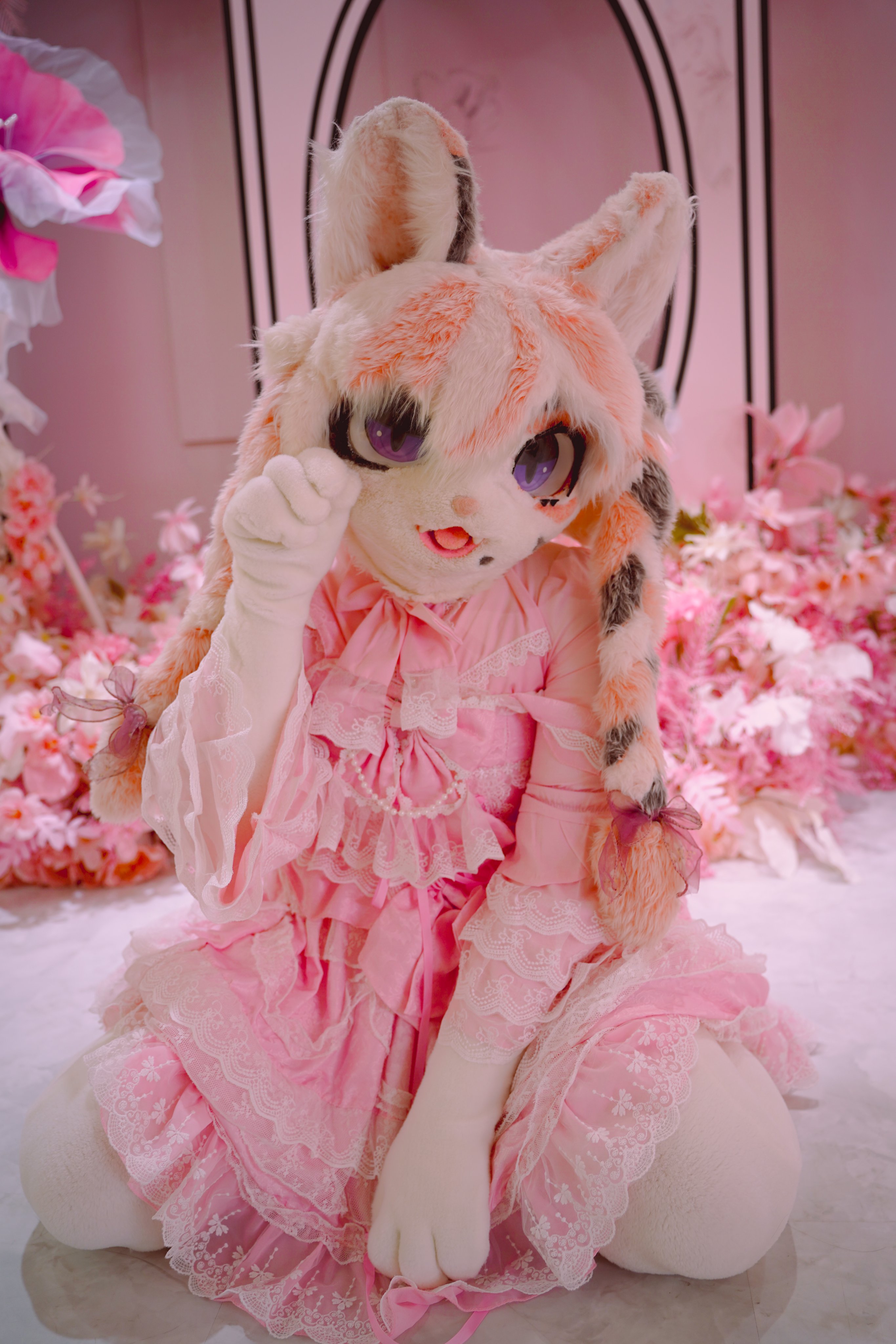 あちゃん様御予約❤ミーナちゃんと♡生後10日♡うるうるオメメの子猫ちゃん♡ りゅう子 on X: 