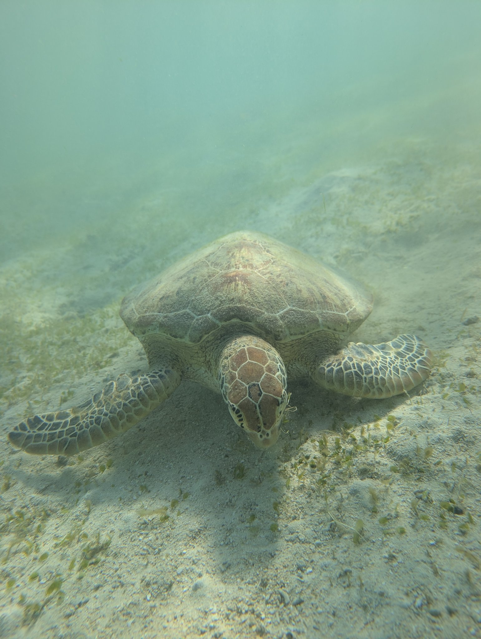 19mickey⚽🩵💚 on X: 