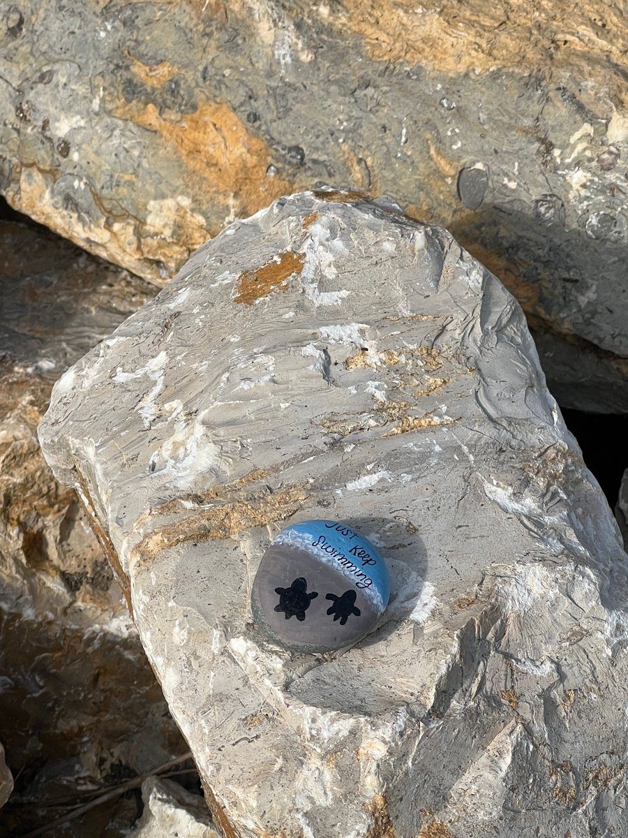 September was Suicide Prevention Month 💚. Our Beacon team took time to paint and hide inspirational rocks throughout the community—small reminders that hope and connection are all around us.
Did you find one? 💬 #BeaconCares #SuicidePreventionMonth #YouAreNotAlone