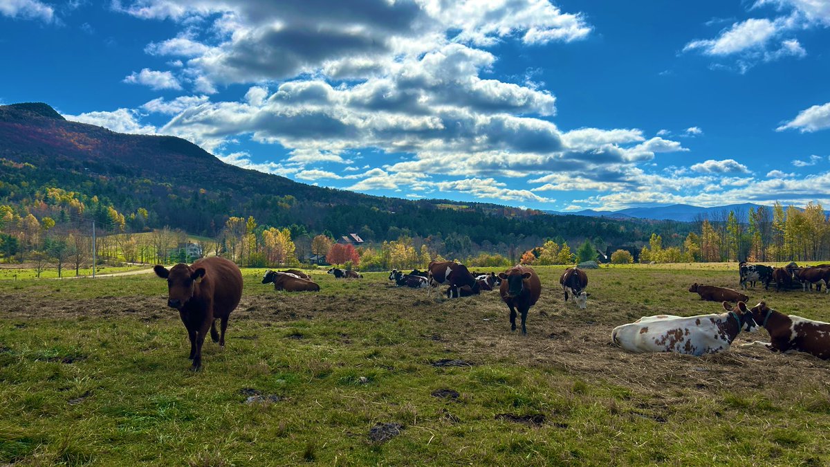 anson_ag's tweet photo. A great day in the Mad River Valley visiting local farms and businesses. Thanks to von Trapp Flowers, von Trapp Homestead, and Lawson’s Finest for the hospitality and great conversations about housing, tariffs, tourism, and agriculture. #workinglands #vt #cheese #flowers #beer https://t.co/ICyHzyWZl3