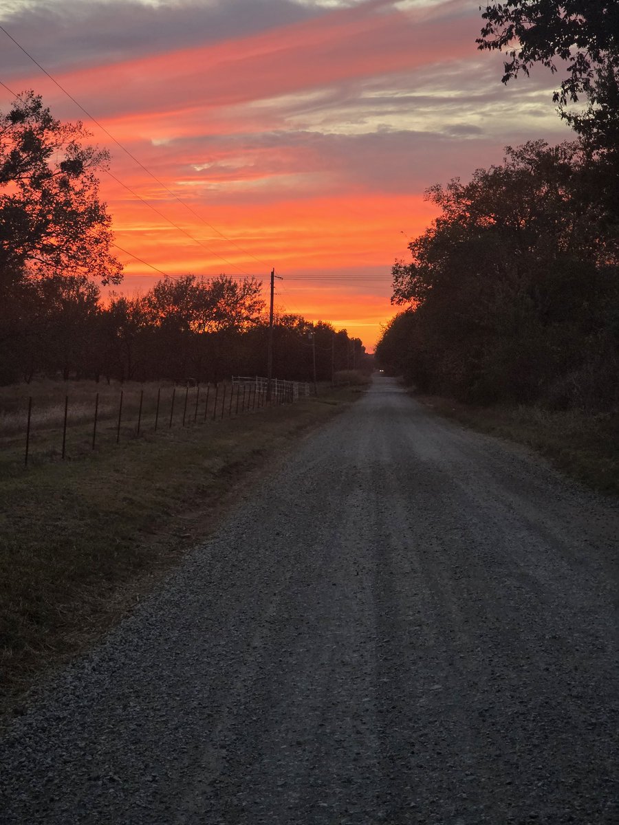DanielEEdmonds's tweet image. Sunset on a fall evening walk.