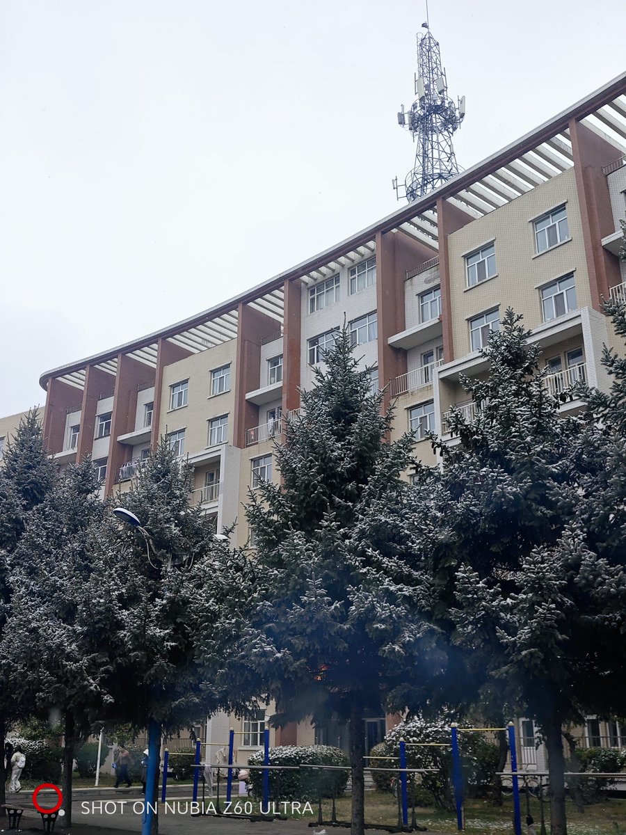 Kaze_522's tweet photo. 在下雪 https://t.co/6BiflG9Plm