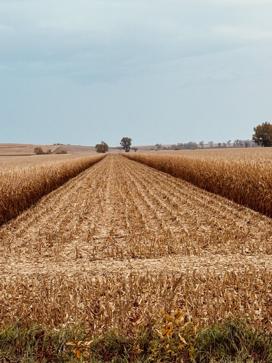 Harvest, Lake County, SD