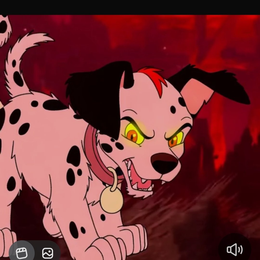 💦 🦴🐾ᎳᎥᏃᏃᎬᏒ (ᎳᎥᏃ) 🐾 🦴💦 (@whizzer_dalmati) on Twitter photo 