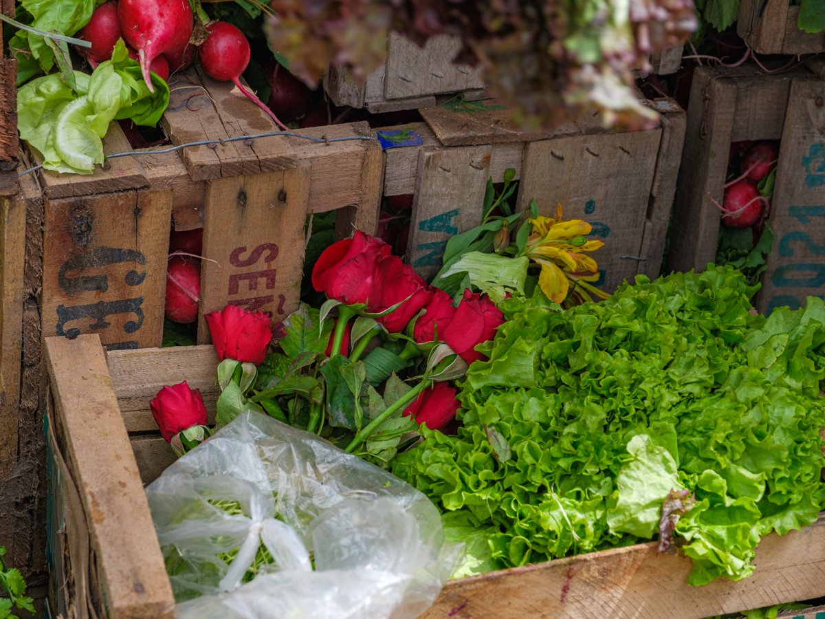 fabimaero's tweet photo. #alimentazo https://t.co/xOZWUaBSK0