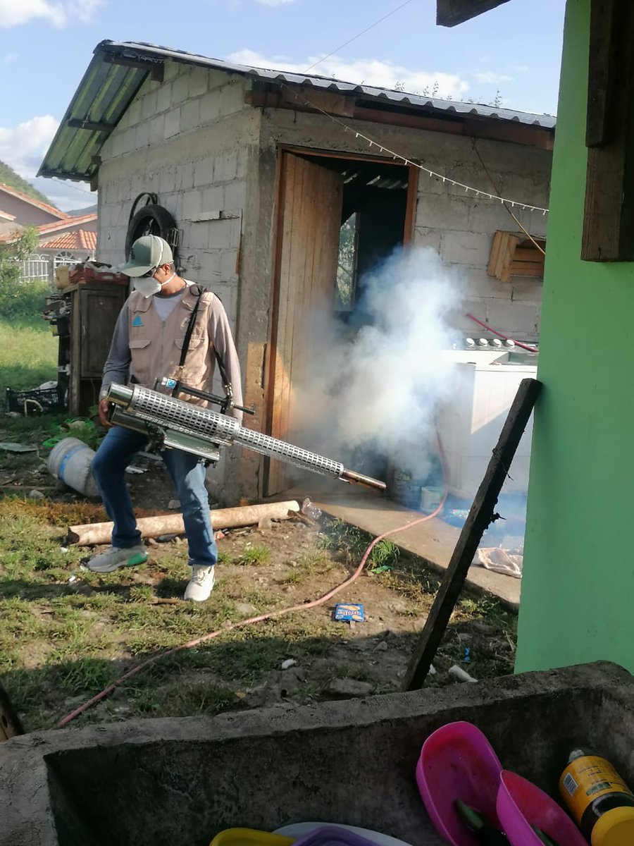 juliomenchaca_'s tweet image. Con la Secretaría de @Salud_Hidalgo, se realizaron operativos de nebulización y termonebulización en las localidades de Santo Domingo y El Carrizal, en San Felipe Orizatlán.
Las brigadas de vectores recorrieron viviendas, espacios públicos y zonas de riesgo, aplicando…
