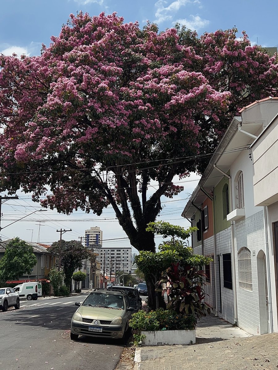 Bom dia, São Paulo! Neste domingo (19), a previsão é de céu nublado. Os termômetros ficam entre 17ºC e 11ºC.

A foto do bairro do Ipiranga é da Andrea Bulbarelli e foi enviada com a hashtag #vejasp. Mande a sua para a gente também!