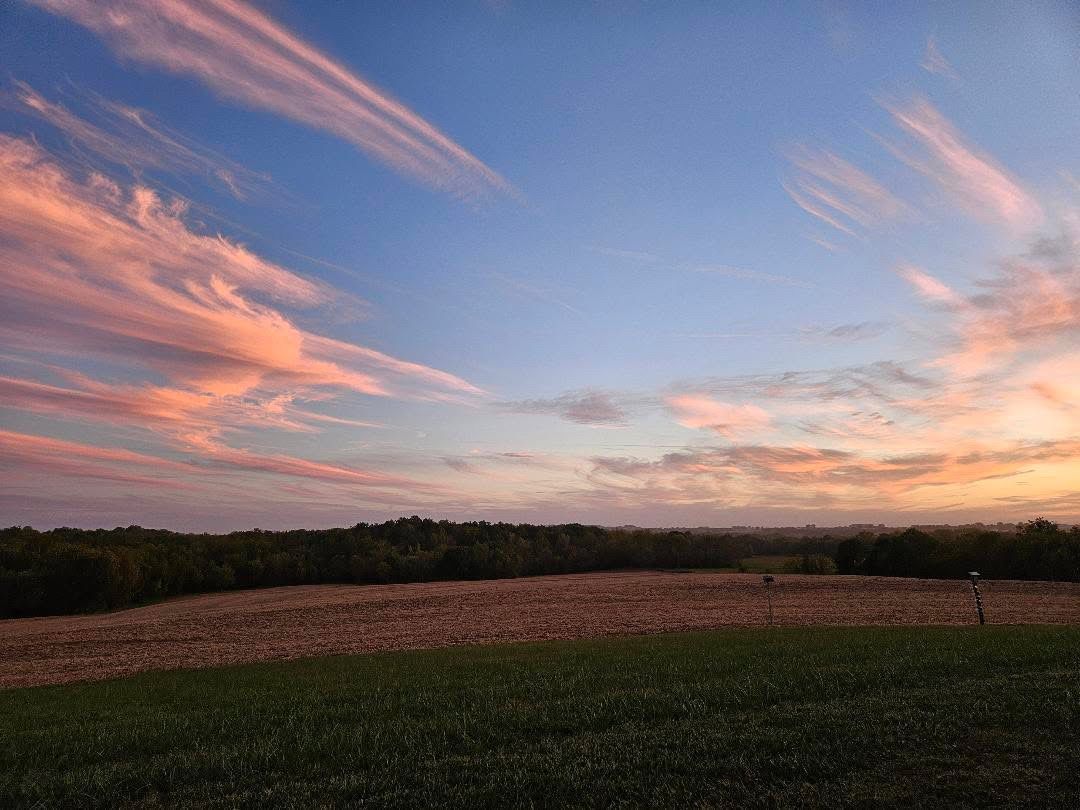 Beautiful sunset this evening in Wellington MO!

#mowx #kcwx