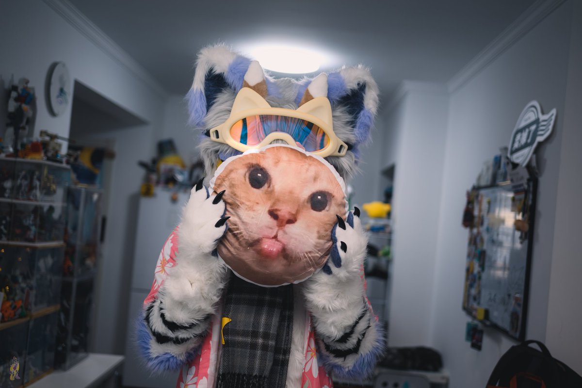 YuanFang2233's tweet image. “我是一只很乖很乖的小猫咪不是嘛？”
拍摄📷：@cxx41gmail