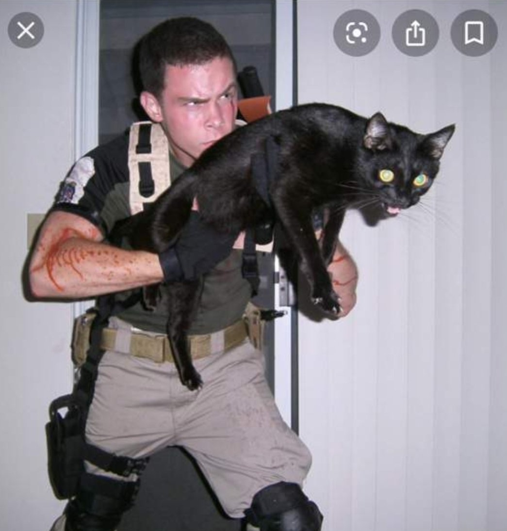 rexicedragon tweet media