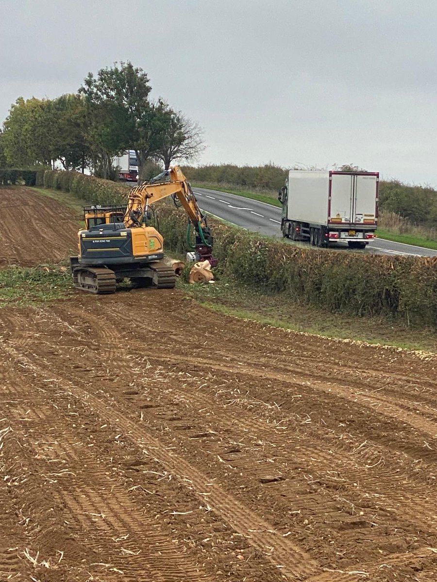 deanfarming's tweet photo. Roadside ash tree safely and efficiently removed today by Simpson Arboriculture. Completely rotten and posing a serious road safety risk. 🌳💪 https://t.co/2UOU7waRuC
