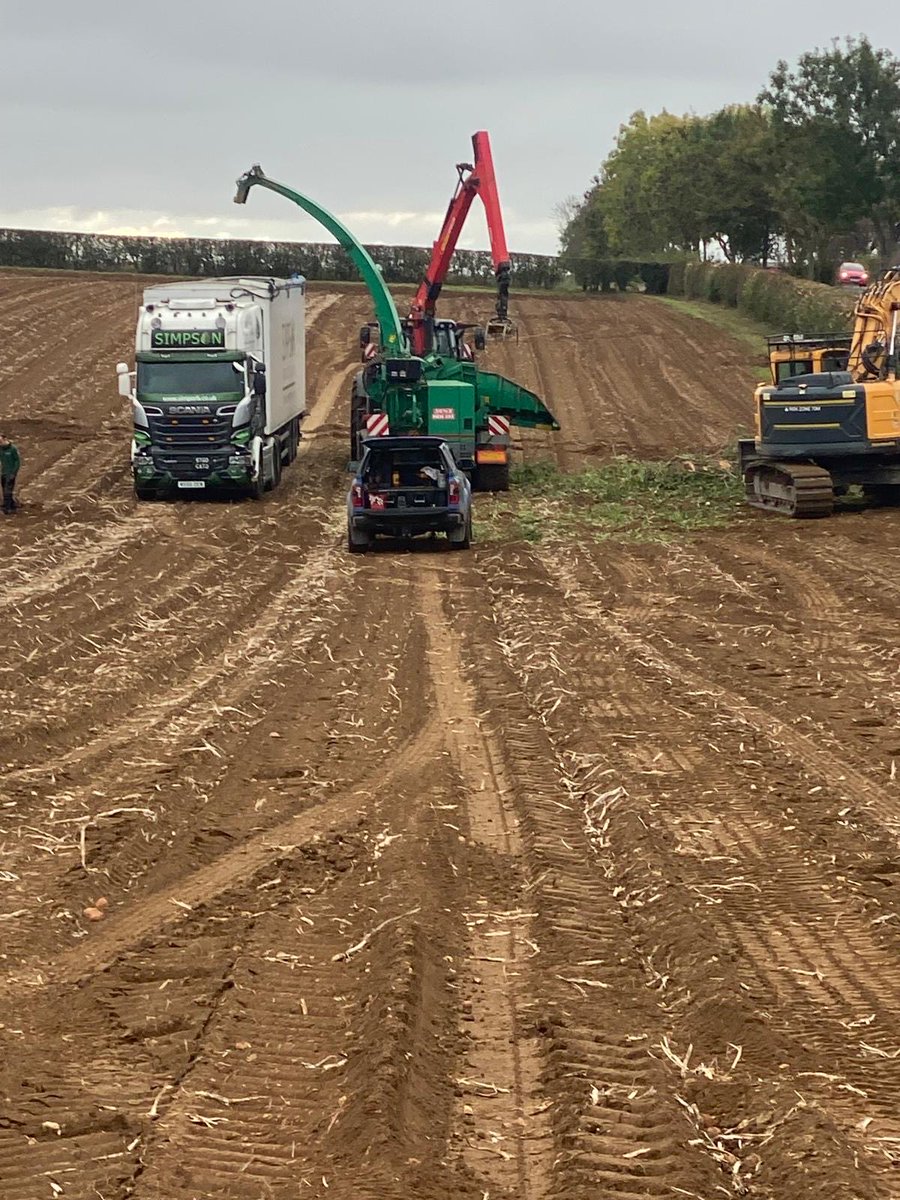 deanfarming's tweet photo. Roadside ash tree safely and efficiently removed today by Simpson Arboriculture. Completely rotten and posing a serious road safety risk. 🌳💪 https://t.co/2UOU7waRuC