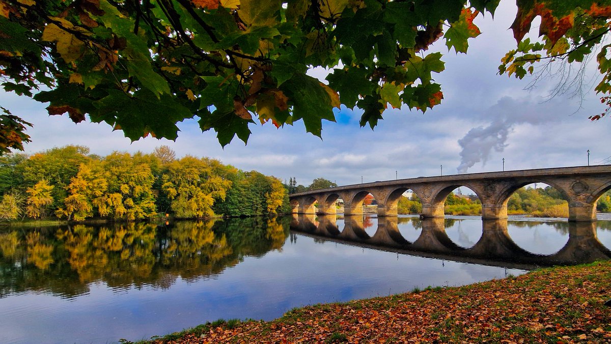 Michael Allan tweet media