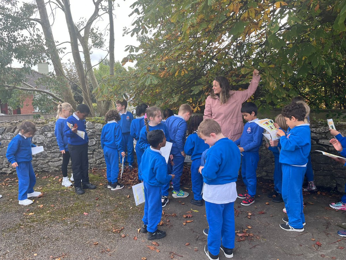 Mallow Community National School tweet media