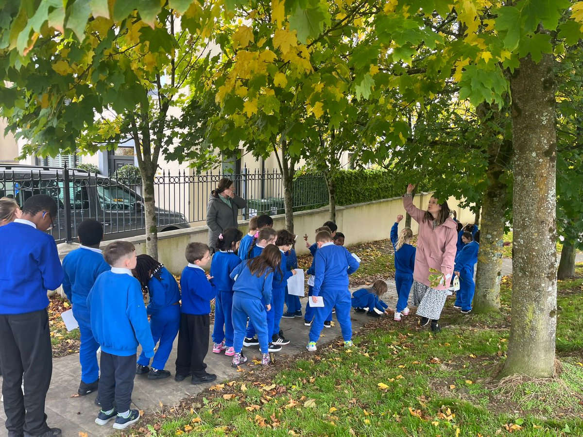 Mallow Community National School tweet media