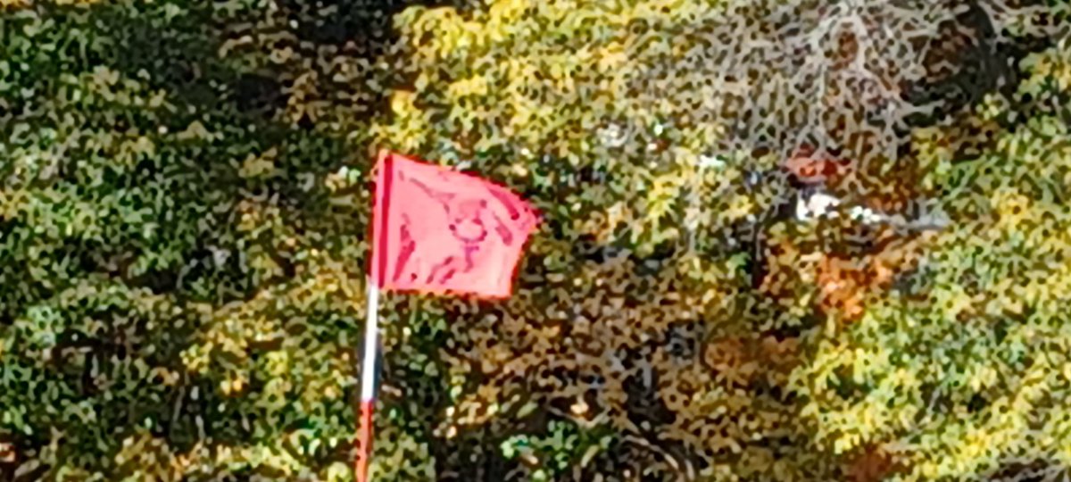 Section V Girls Golf tweet media