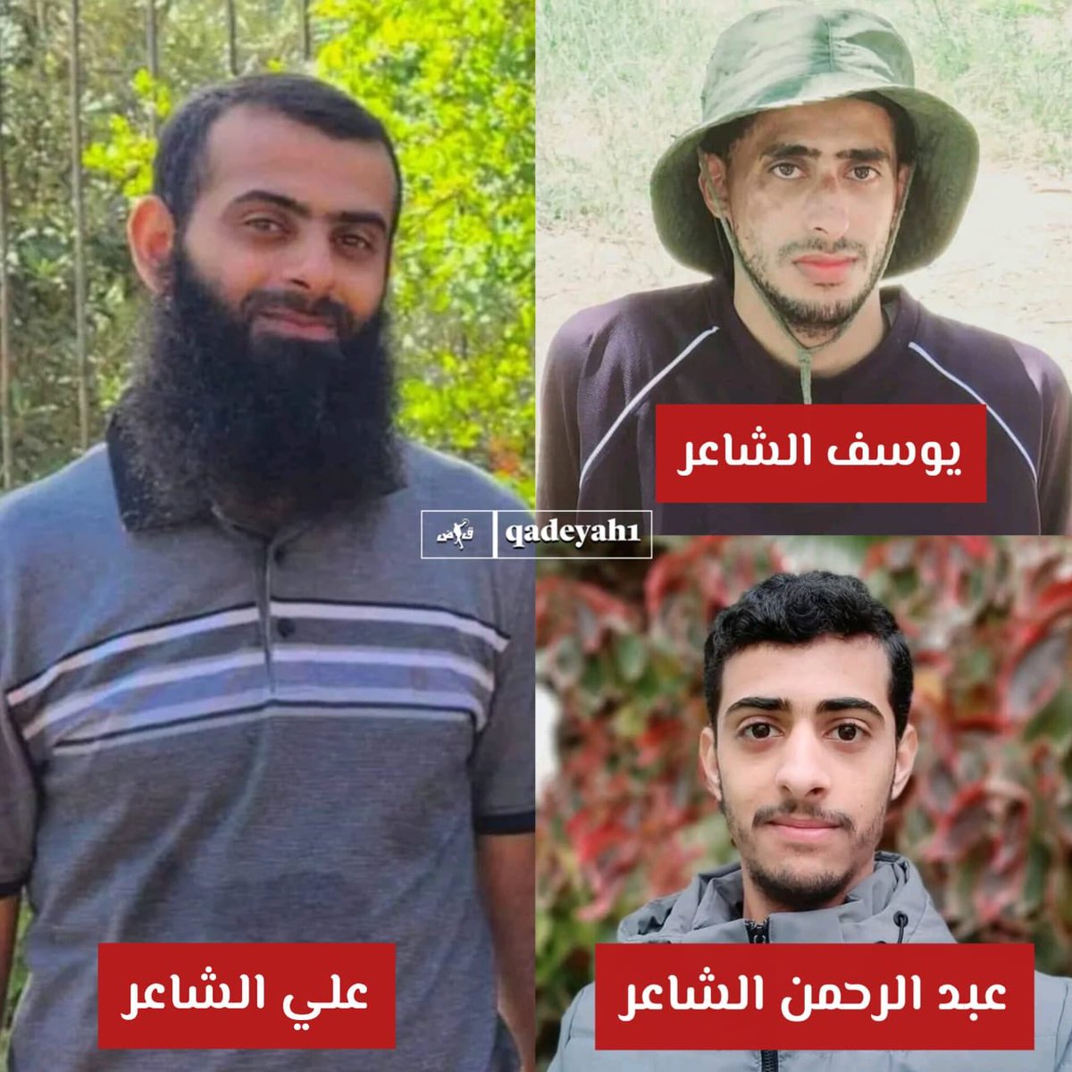 أخوة الد/م والجـ،هاد | 

ارتقى الشـ،،هيد|ن المجـ،ـاهد|ن علي ويوسف الشاعر في السـابع من اكتوبر، ثم التحق بهما شقيقمها الشـ،هيد المجـ،ـاهد عبد الرحمن الشاعر بعد أسبوع من انضمامه لصفوق جـ،نود القىىىام في عمـ،لية اغتـ،يال جبانة عبر طائرة مسيرة.