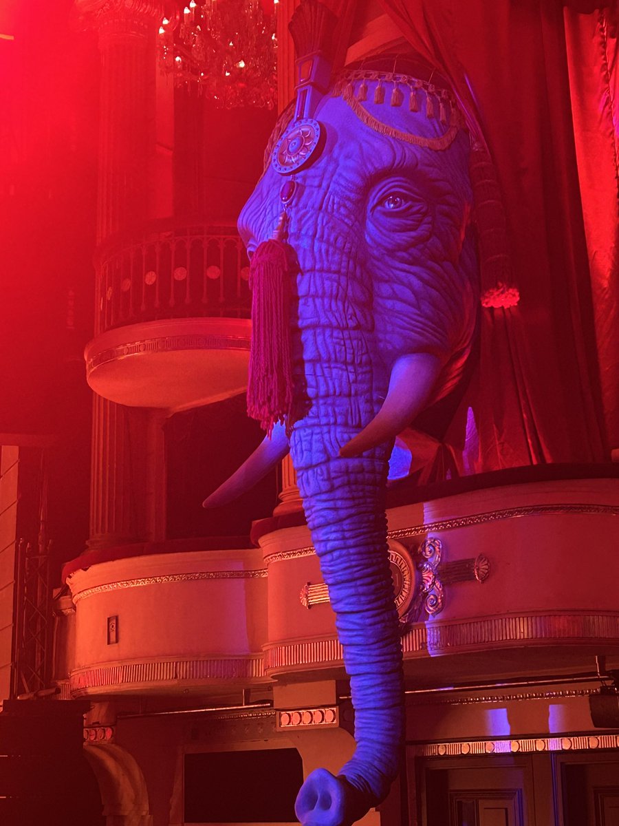 Machiavellian Girl tweet media