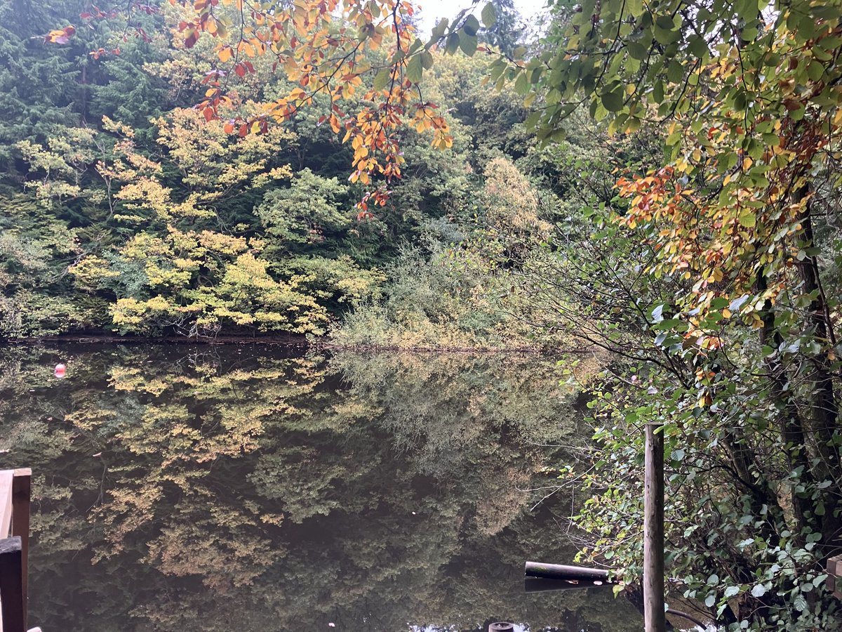 Finham Sports tweet media