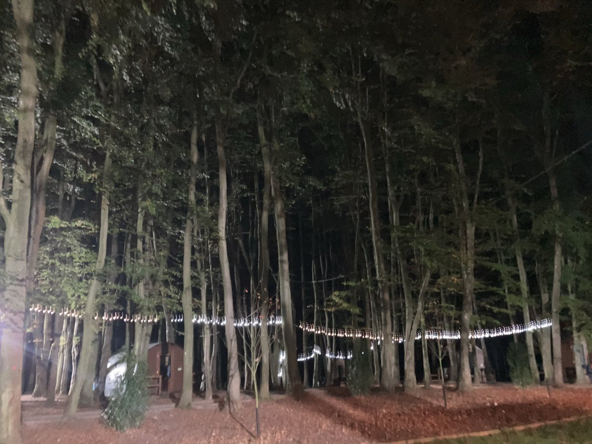 Finham Sports tweet media