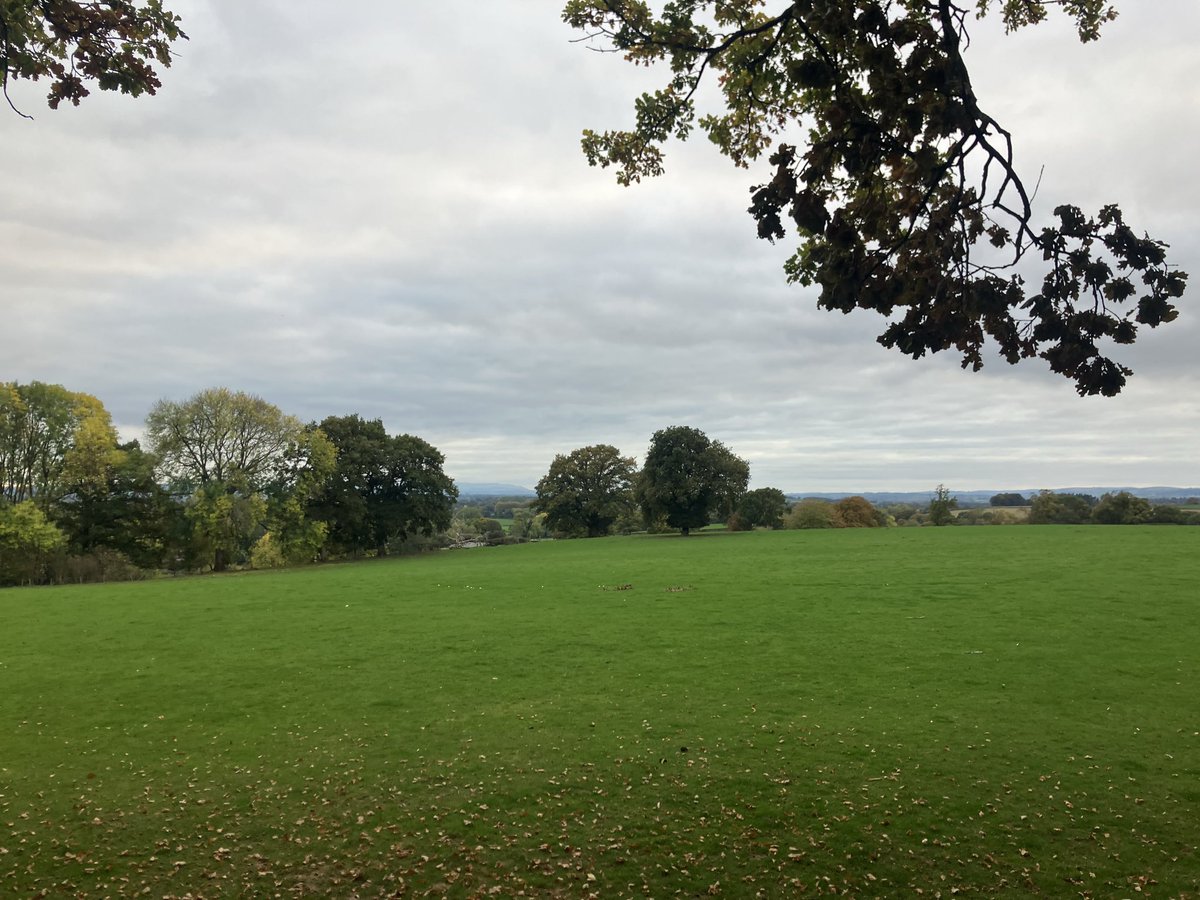 Finham Sports tweet media