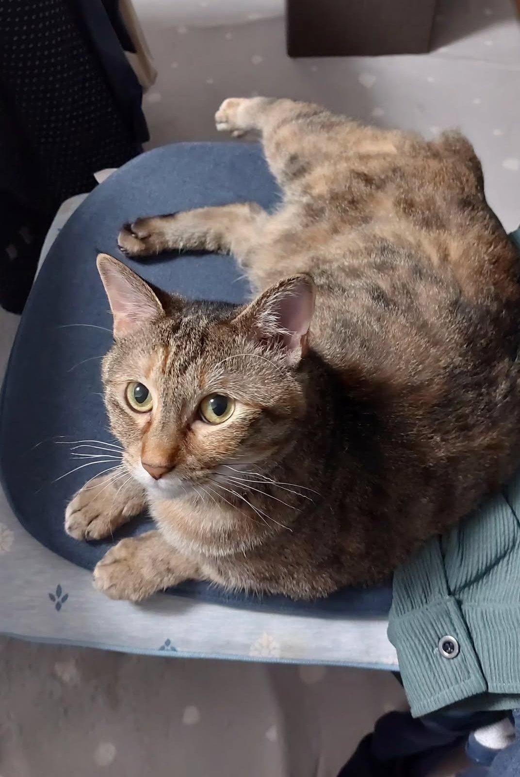 も～ (@mori2ta) / X