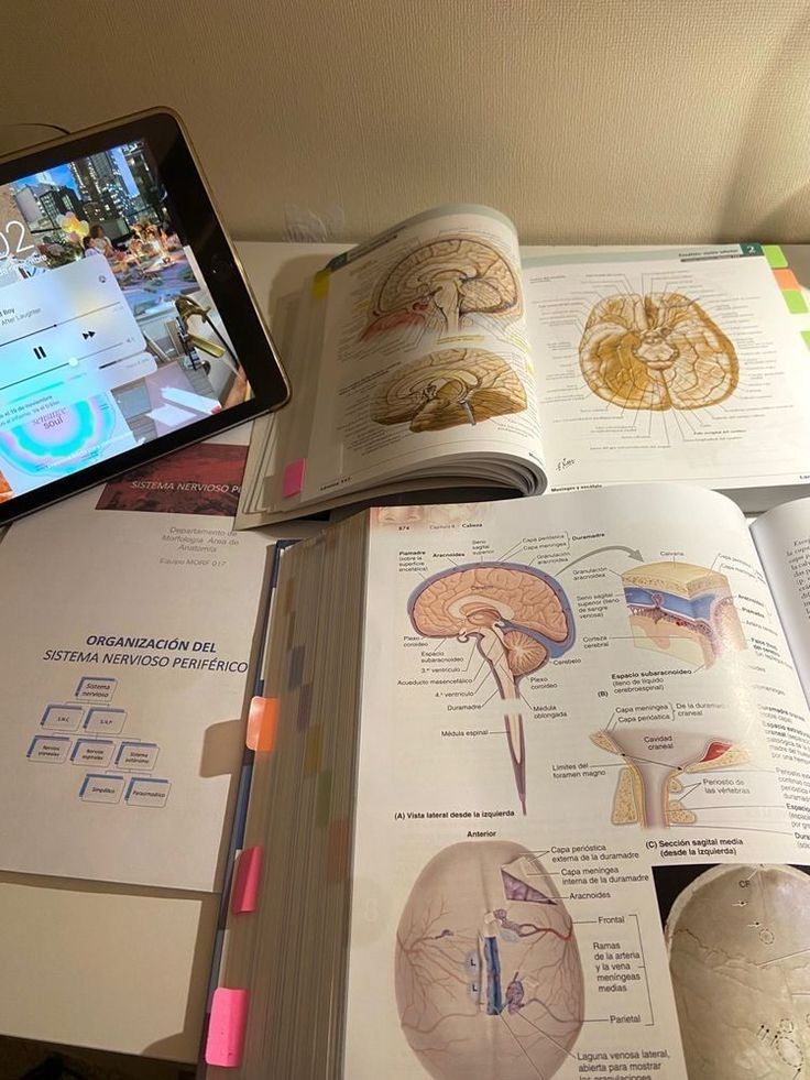 homework_help6's tweet image. Hire us to help you with:
Psychology
Essays
Sociology
English
History
Computer
Political science
Excel
Proposal
Homework
Economics
Business
Statistics
Chemistry
Algebra
MBA
Calculus
Online classes
Exams
Finance
Psychology
Thesis
Physics
Law
Text or WhatsApp +1 (985) 328-2291