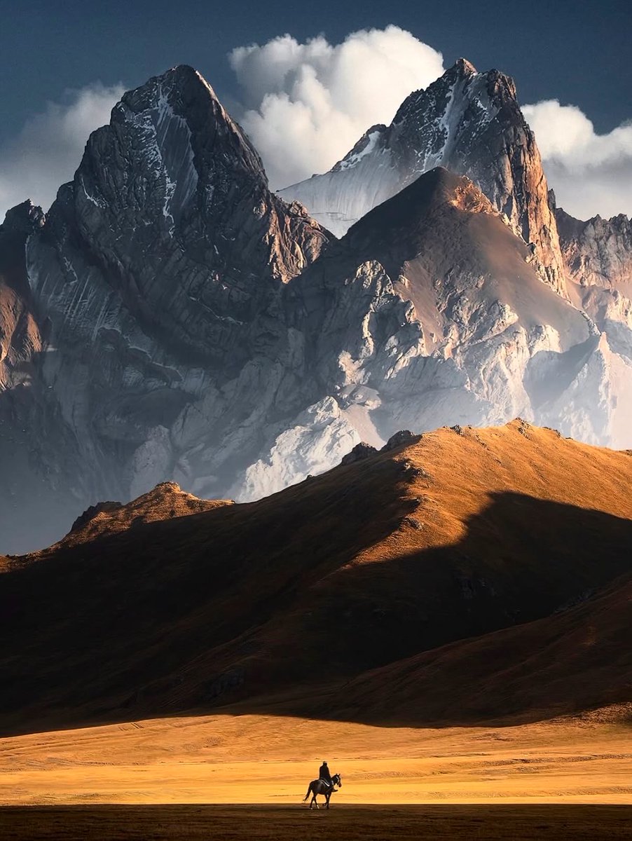 Umar Nurmagomedov (@unmgdv) on Twitter photo 