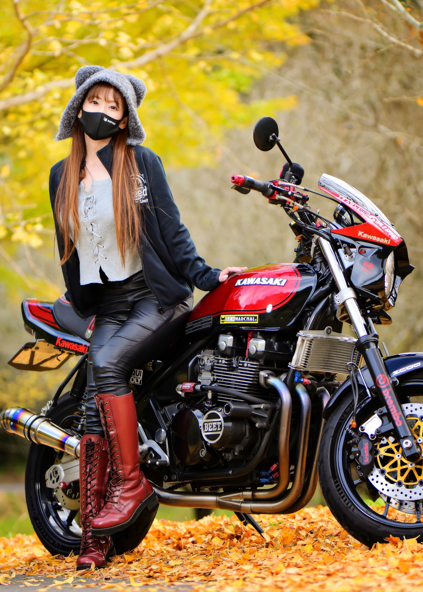 ネコちゃん photo 𝐒ちゃん🌸猫Photo Rider on X: 