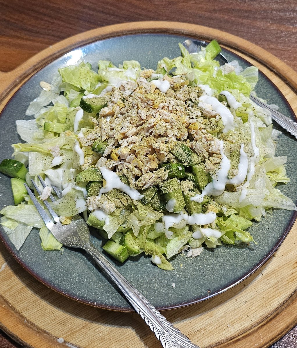 mostafa__coder's tweet image. شاید اگر یه آدم ناشی بودم میگفتم تا حالا سالاد شیرازی رو با مرغ و سس مایونز و روغن زیتون و کاهو و آویشن خوردین؟؟؟ :|||||