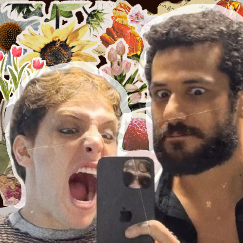 acervo dimaury tweet media