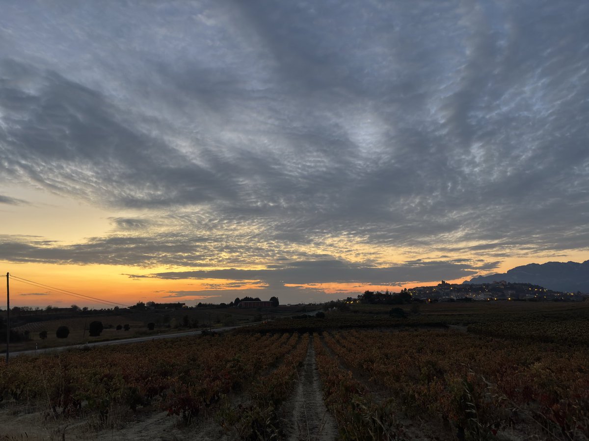 Tarde de otoño 🍂 #Laguardia