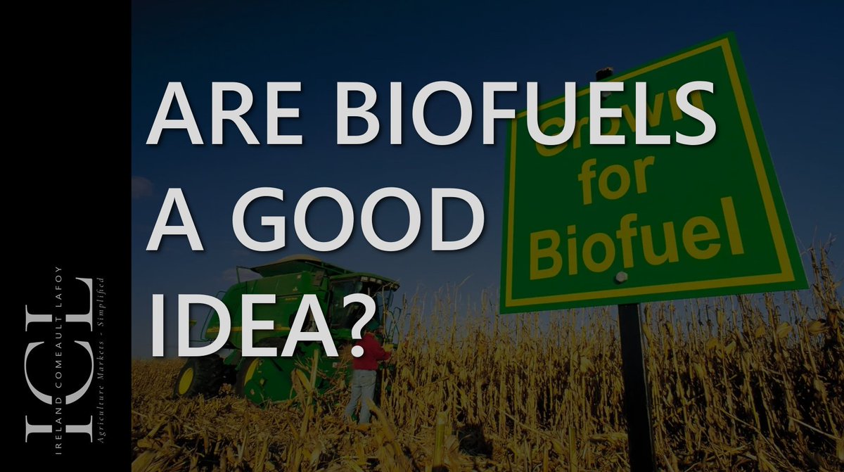 Today we update you on the futures market affecting Canadian farmers and we dive into biofuels and the environmental fight against them.  We also update you on the Canadian dollar.    
youtu.be/dAKz0_w0-Dw