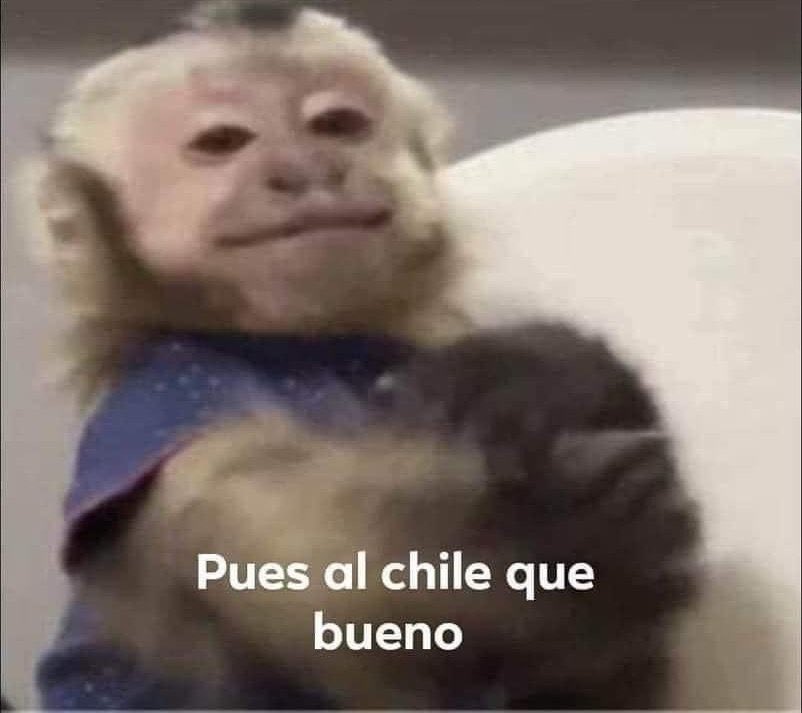 Yo viendo que gracias a cierto evento, por fin las fans de la milicia se están dando cuenta que sus favs solo están por el dinero, y no porque de verdad les importe el slogan que han manejado de unos años para acá, y hasta ellas los están funando.