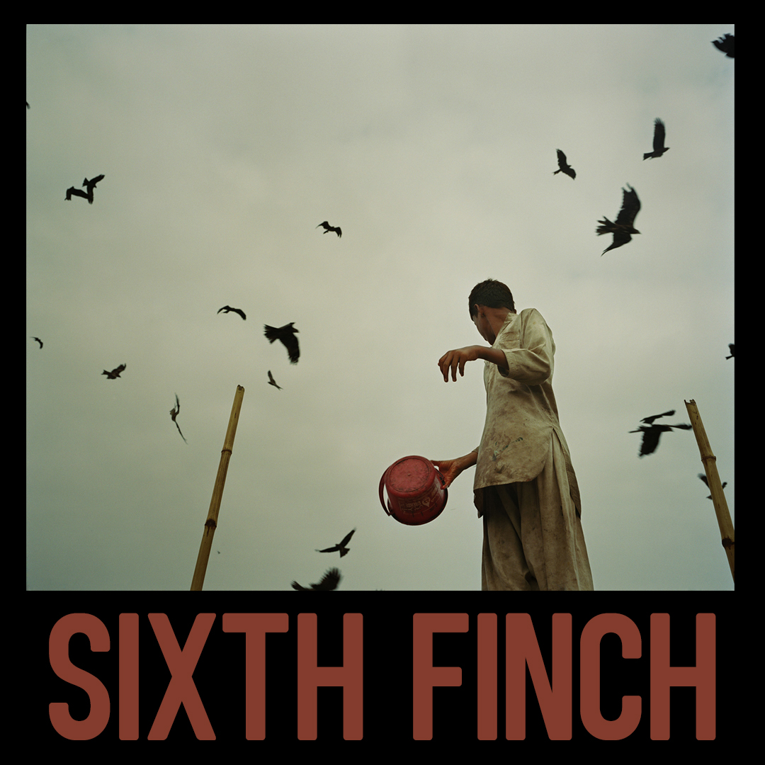 Sixth Finch tweet media