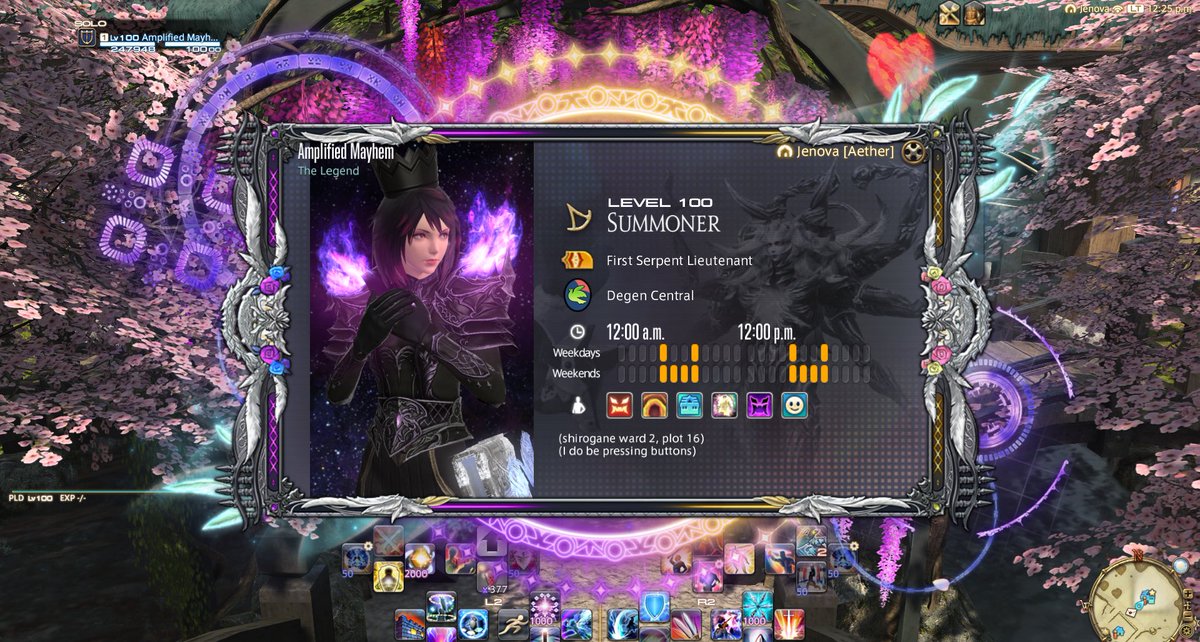 Amplified tweet media