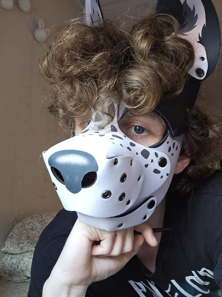 *Looks at you pawtistically*