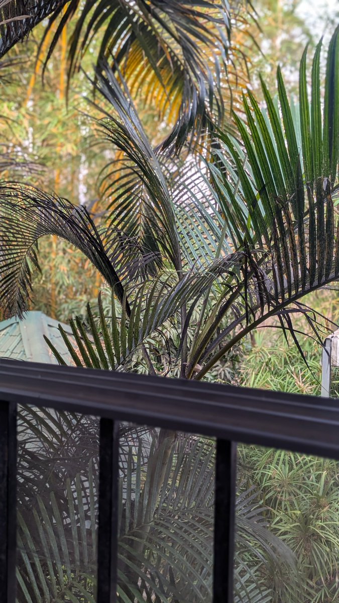 PhysioCash🇲🇼 tweet media