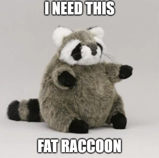 Why you should have a Raccoon (@shouldhaveracc) on Twitter photo 